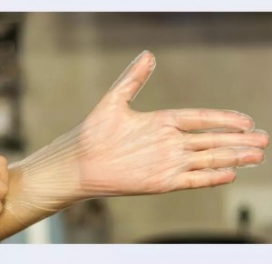 Disposable TPE Gloves
